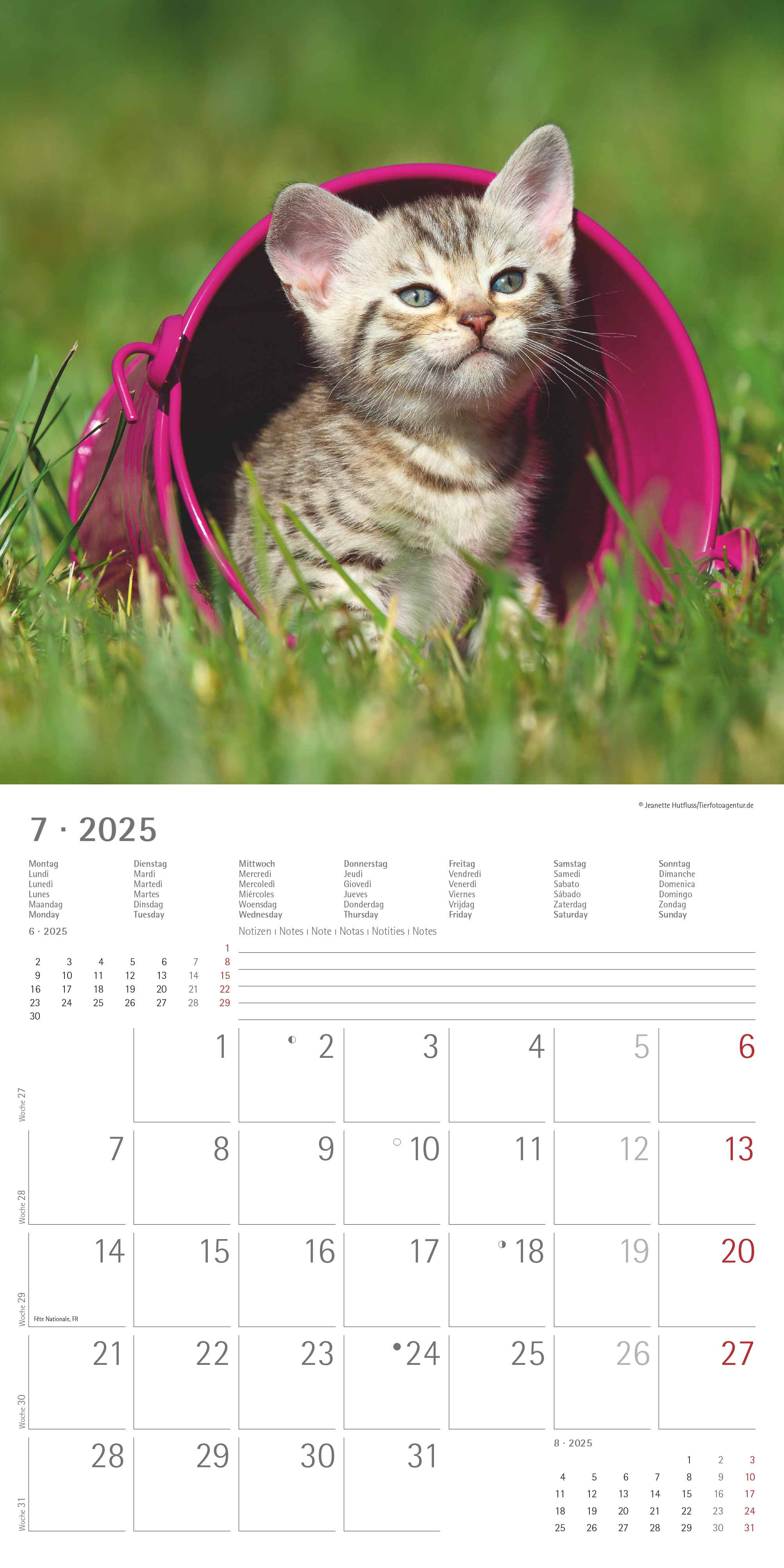 Alpha Edition - Katzenbabys 2025 Broschürenkalender, 30x30cm, Wandkalender mit Platz für Notizen und Termine, schöne Motive von Katzen-Babys, Monatsübersicht und Ferientermine DE/AT/CH