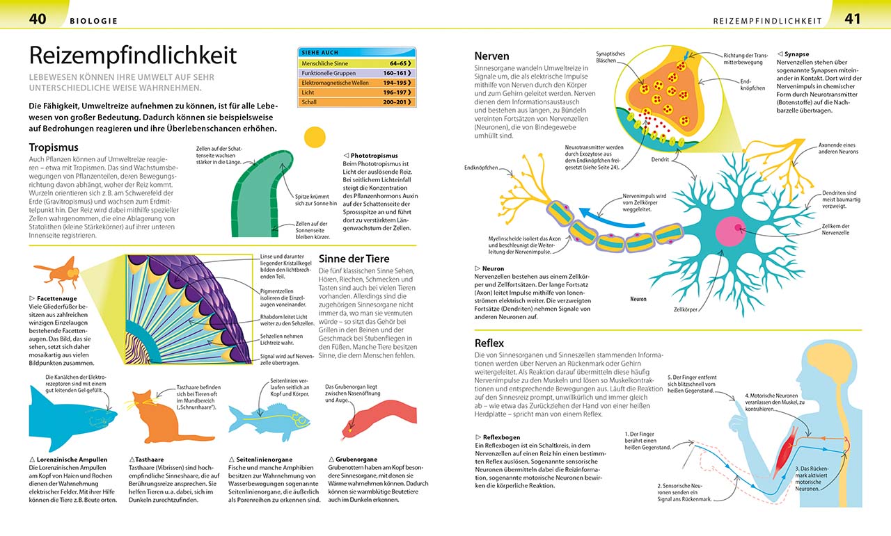 Biologie, Chemie, Physik für Eltern