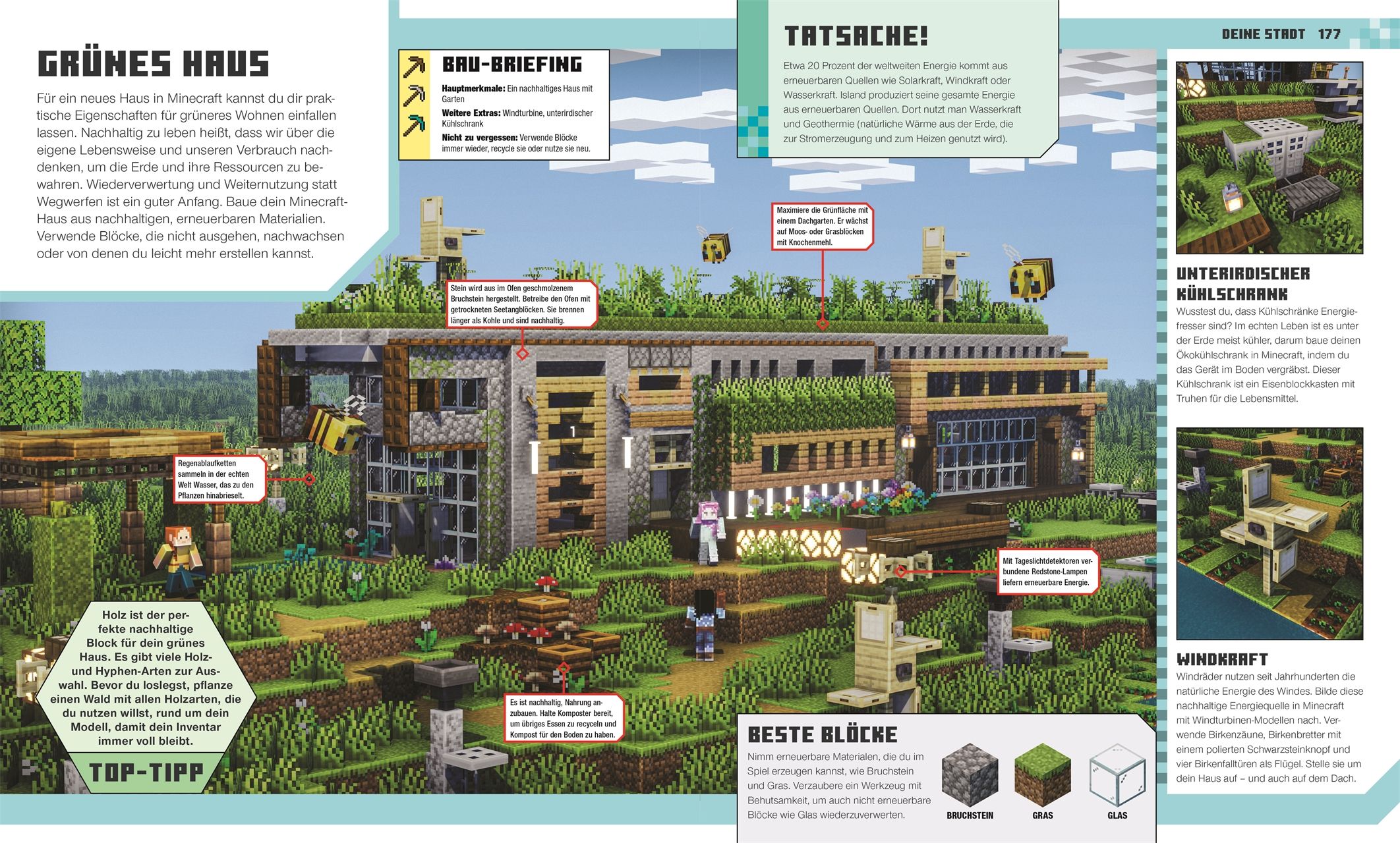 Das offizielle Minecraft Ideen Buch