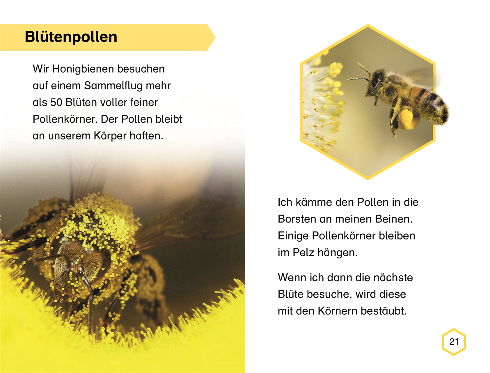 SUPERLESER! Wir brauchen die Bienen