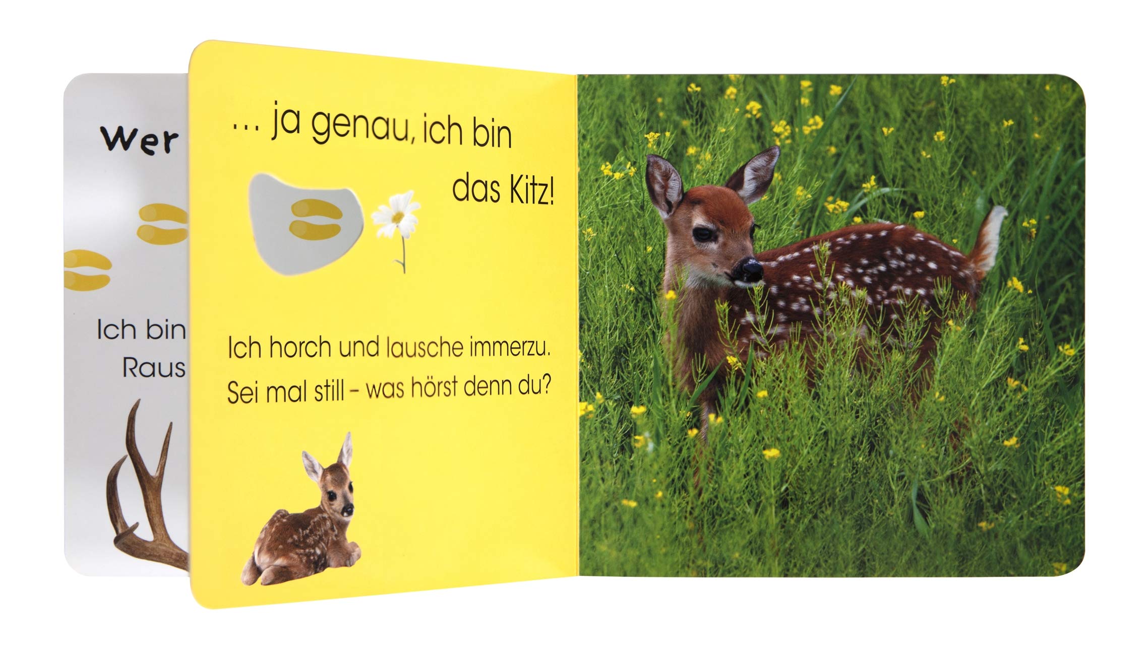 Wer versteckt sich da. Tierkinder: Ein lustiges Gucklochbuch. Pappbilderbuch mit Glitzerfolie und Gucklöchern