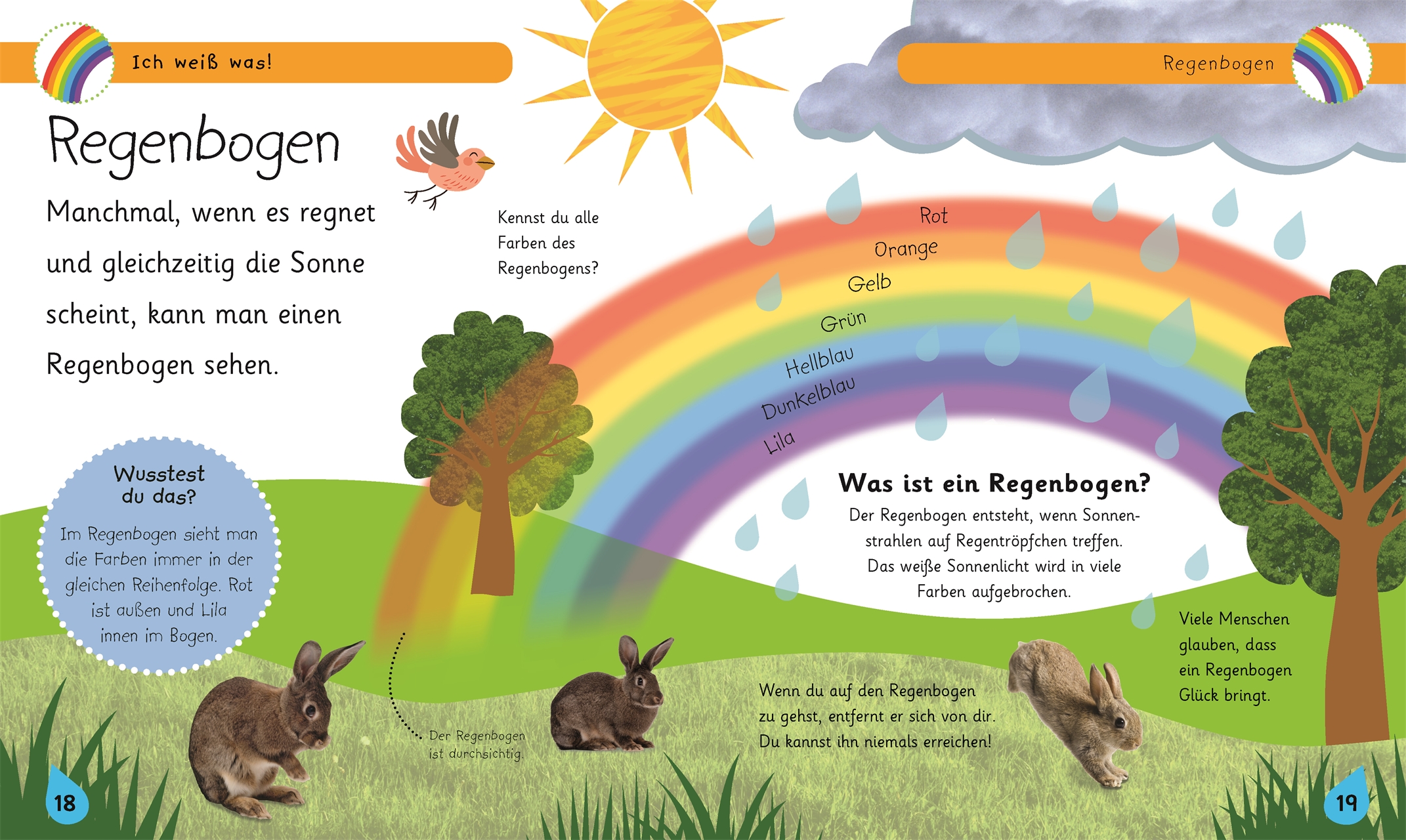 Wie entsteht ein Regenbogen?