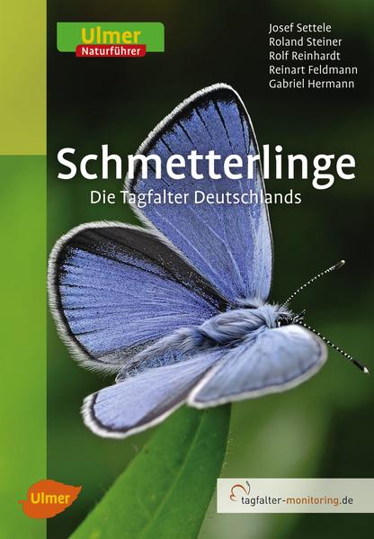 Schmetterlinge