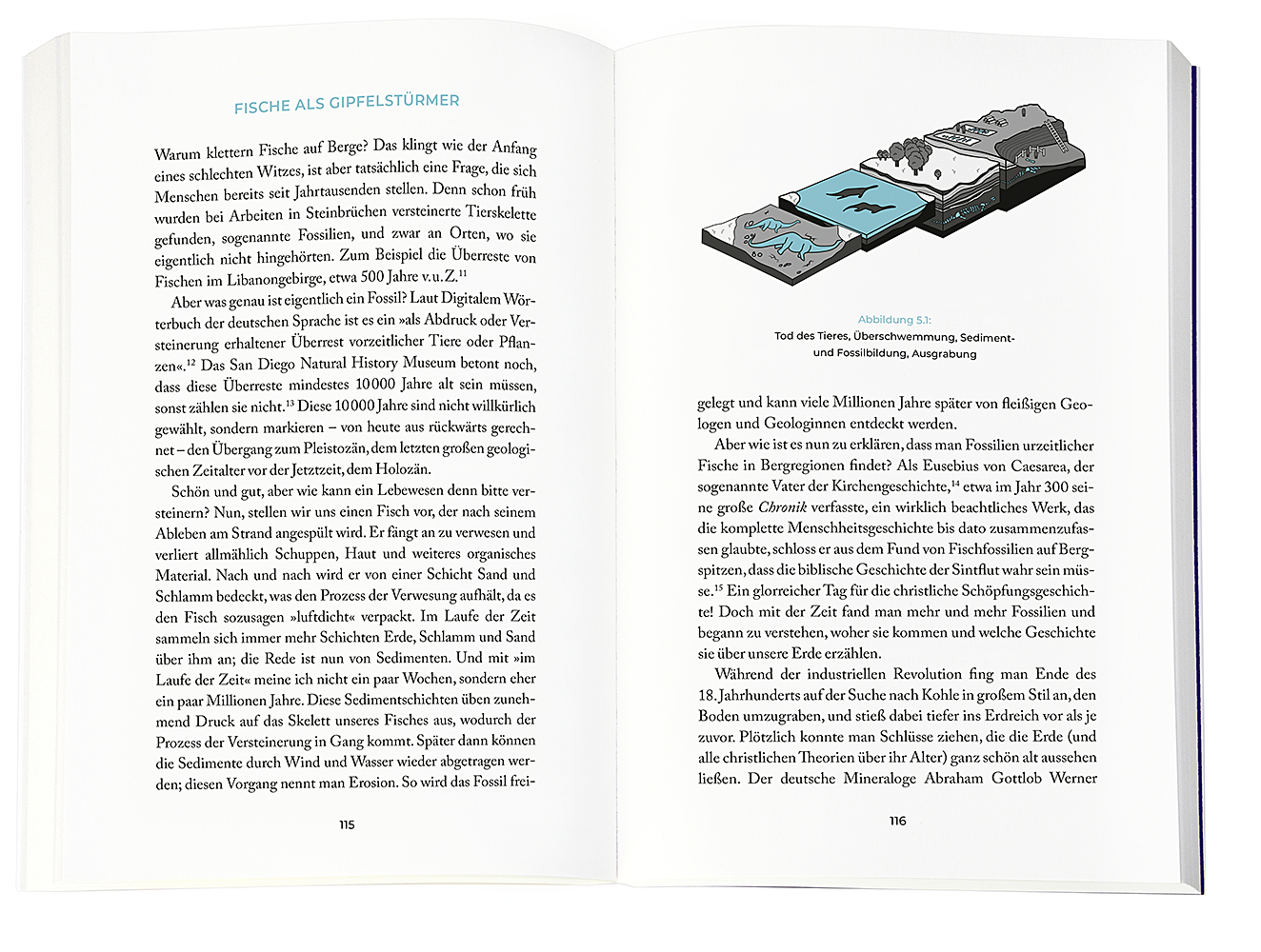 (Fast) Alles einfach erklärt