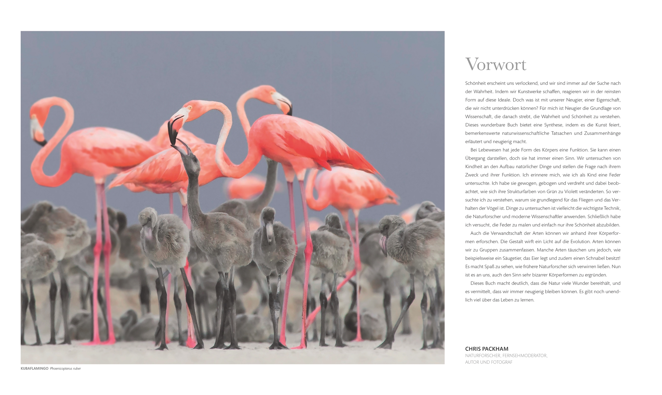 Fauna – Wunderwelt der Tiere