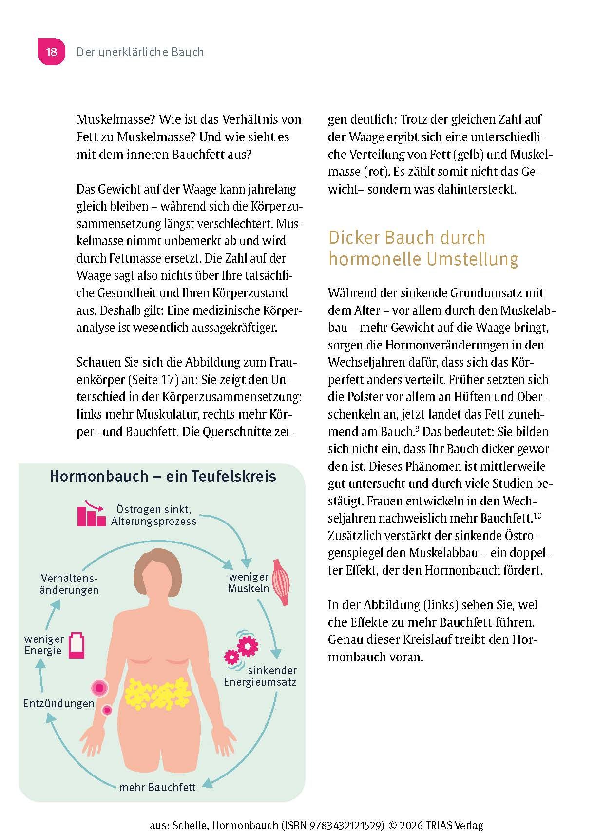 Hormonbauch