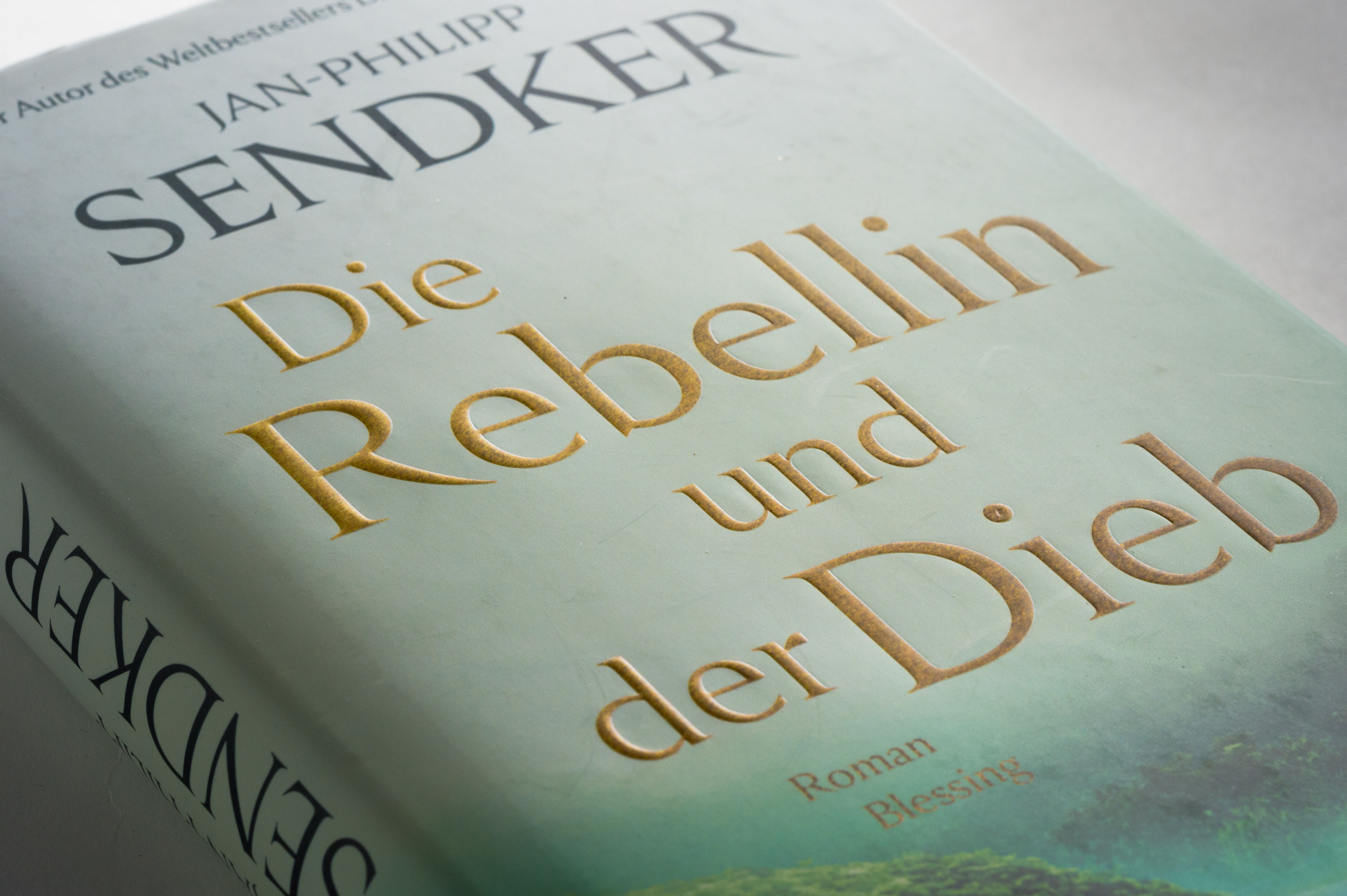 Die Rebellin und der Dieb