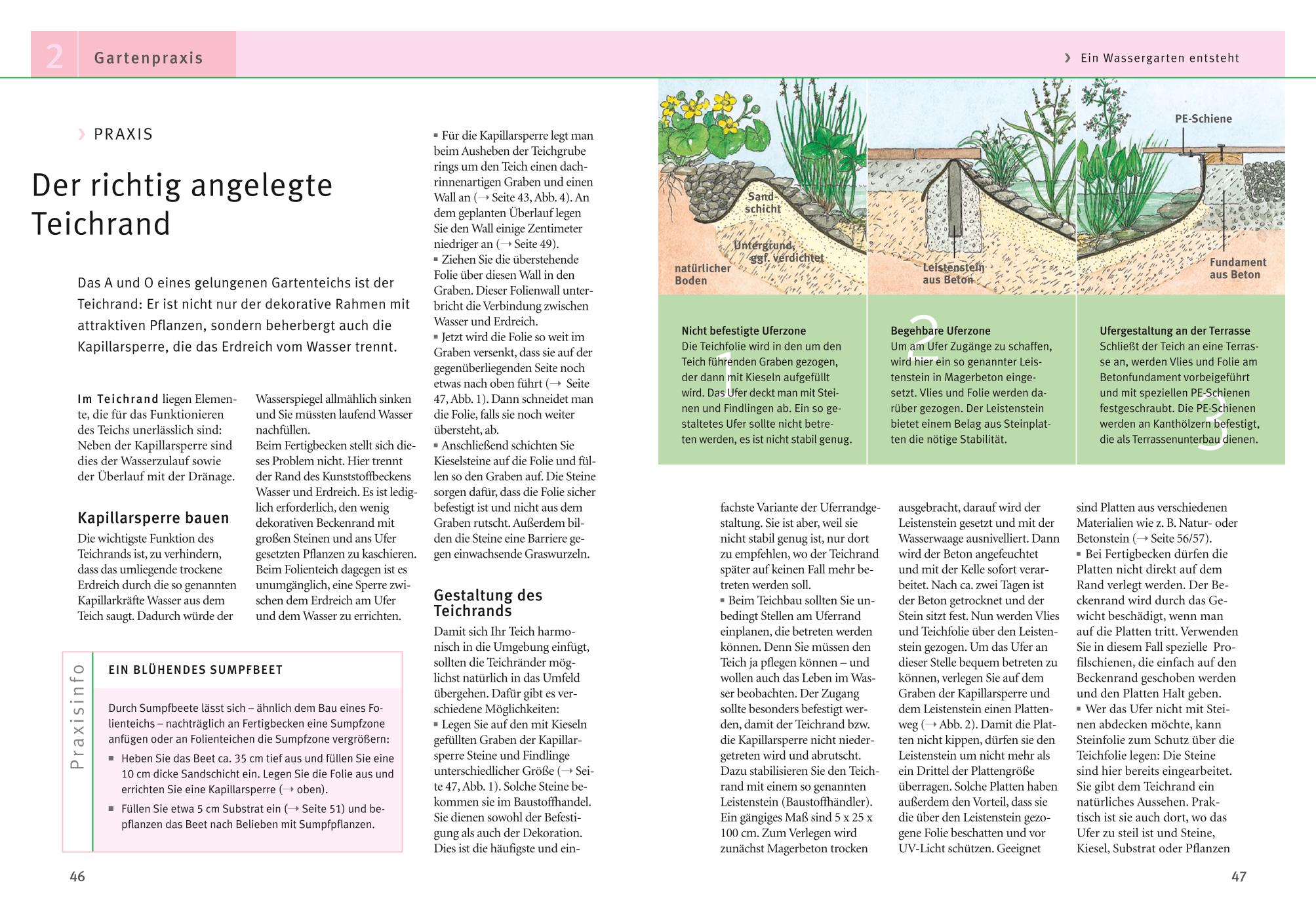 Gartenteiche anlegen und gestalten Gartenteiche anlegen und gestalten