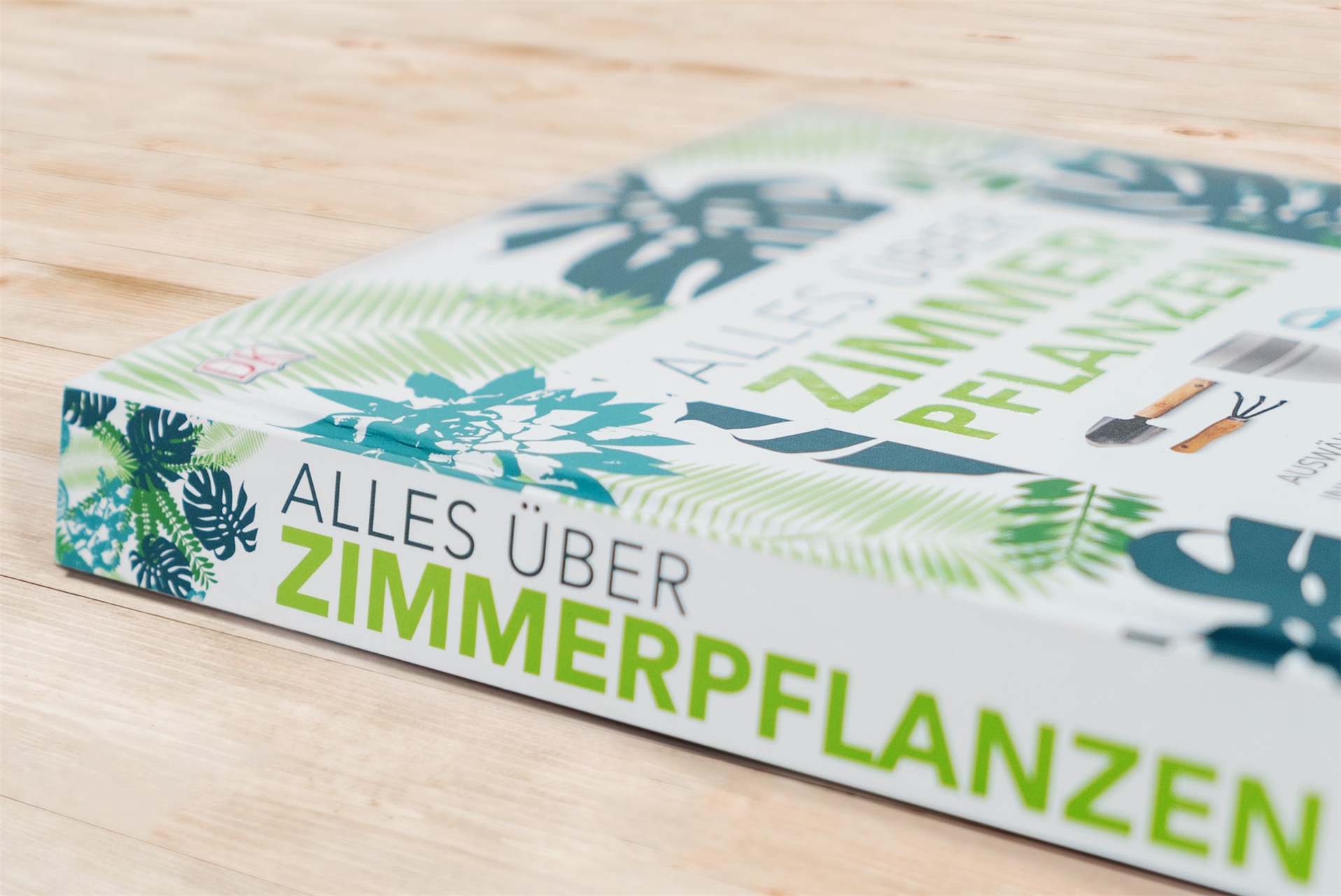 Alles über Zimmerpflanzen