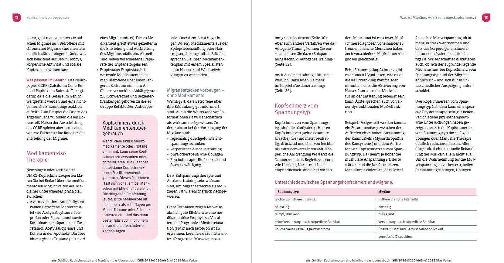Kopfschmerzen und Migräne - Das Übungsbuch