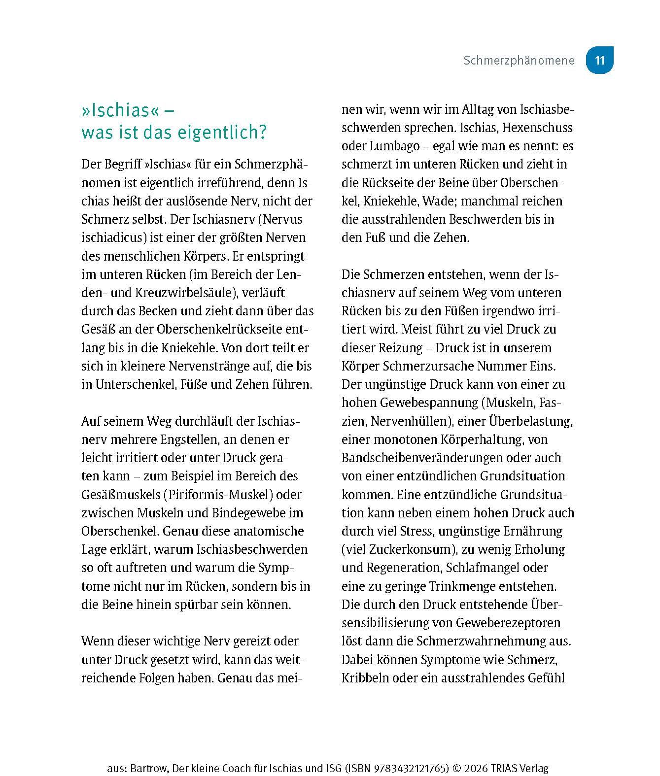 Der kleine Coach für Ischias und ISG