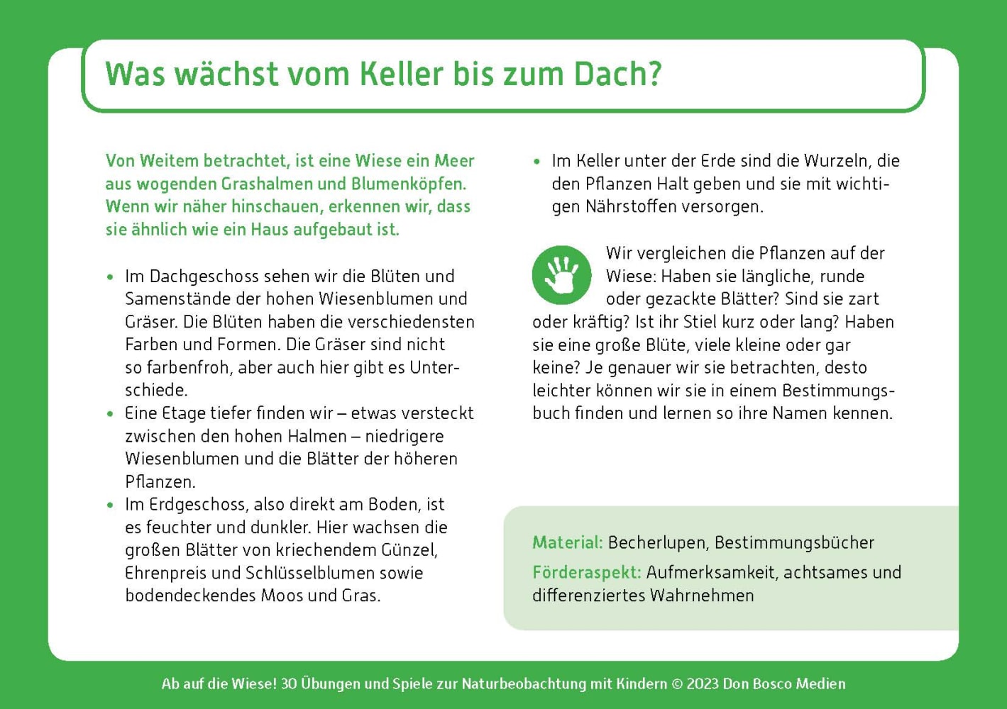 Ab auf die Wiese! Ab auf die Wiese!