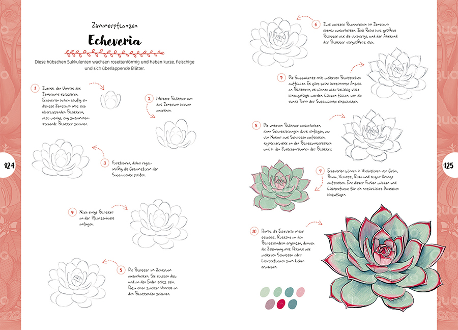 Die Kunst des Zeichnens 10 Steps - Pflanzen