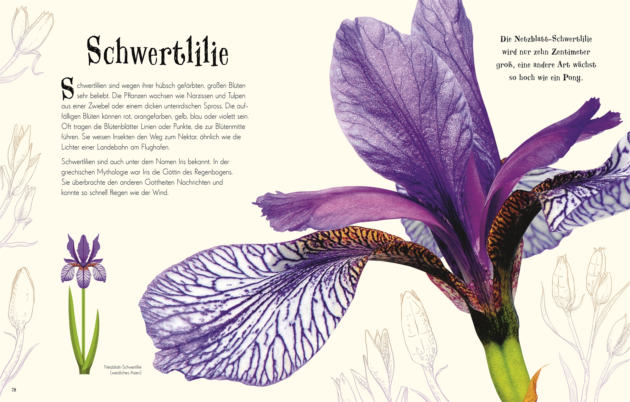 Wundervolle Welt der Natur Wundervolle Welt der Natur