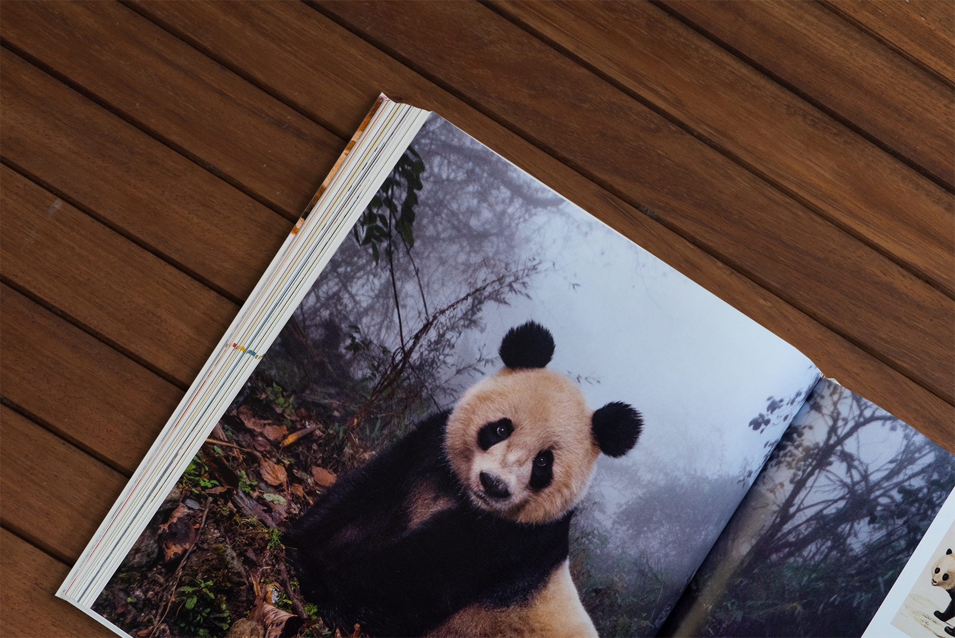 Fauna – Wunderwelt der Tiere