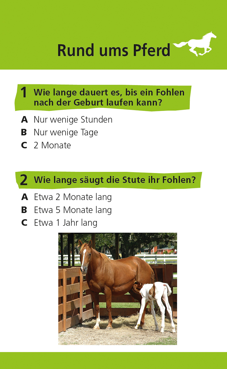 memo Quiz. Pferde