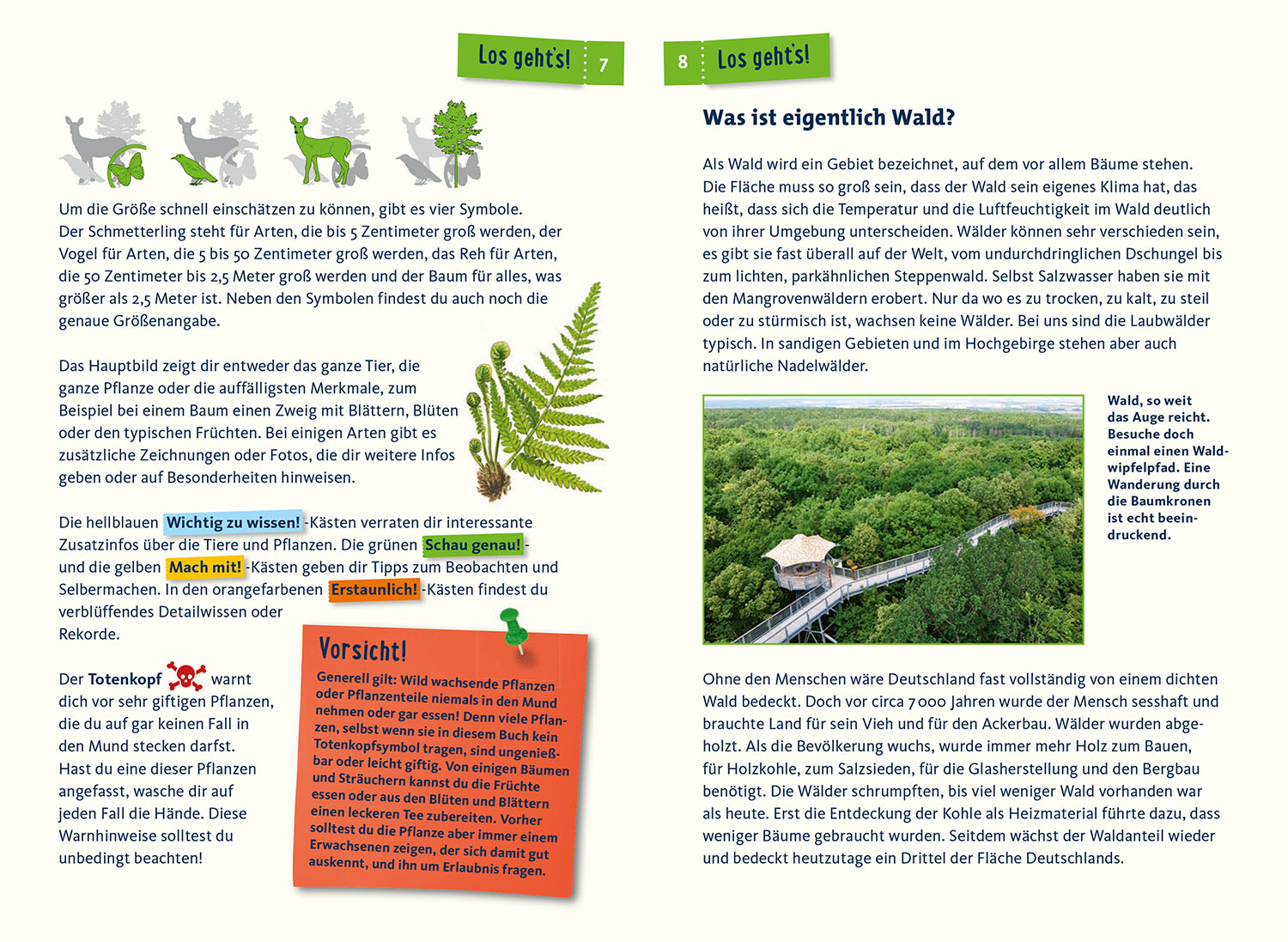 Was lebt im Wald? Kindernaturführer