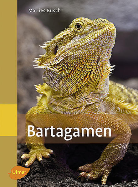 Bartagamen