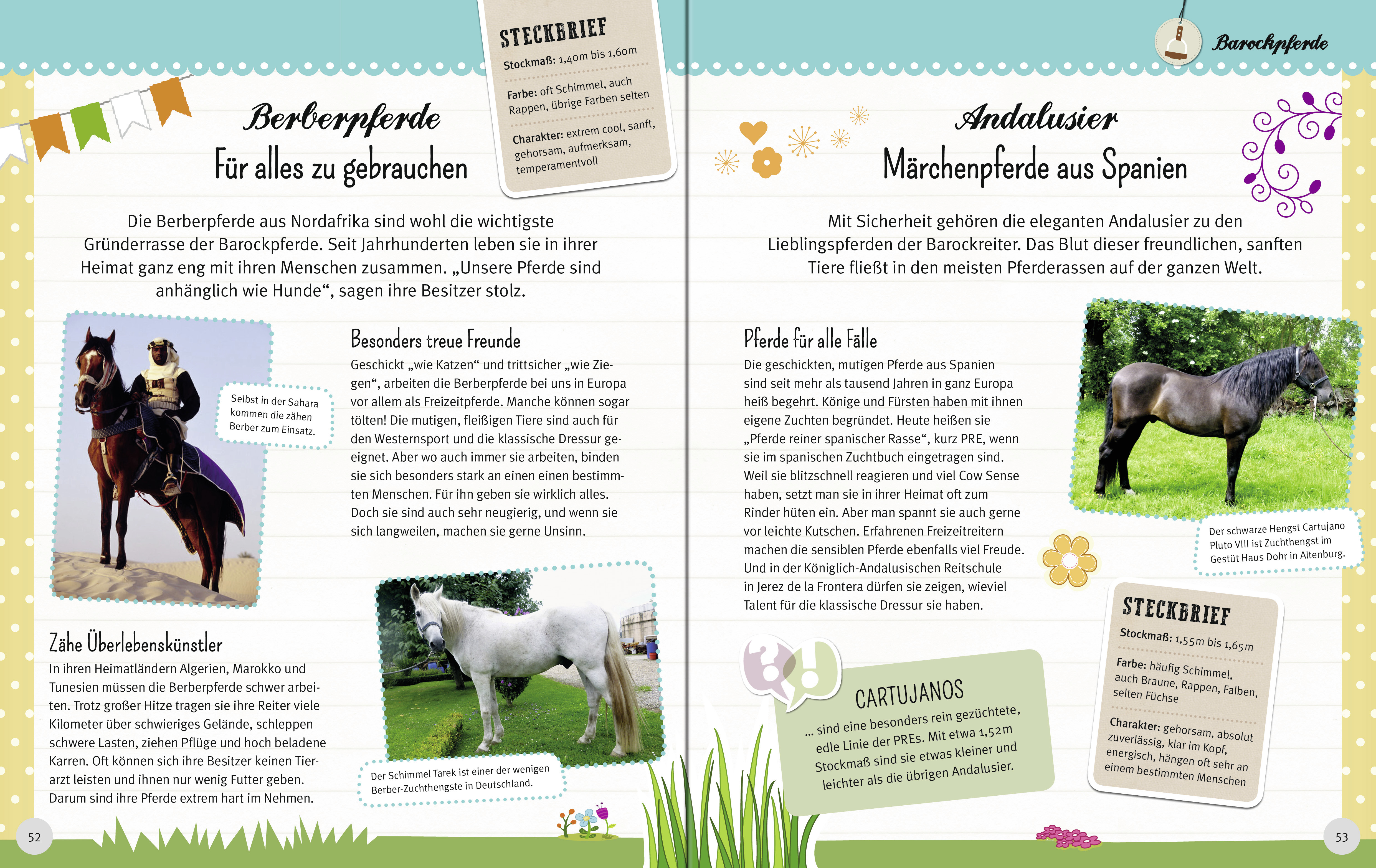 Wunderbare Welt der Pferde und Ponys Wunderbare Welt der Pferde und Ponys