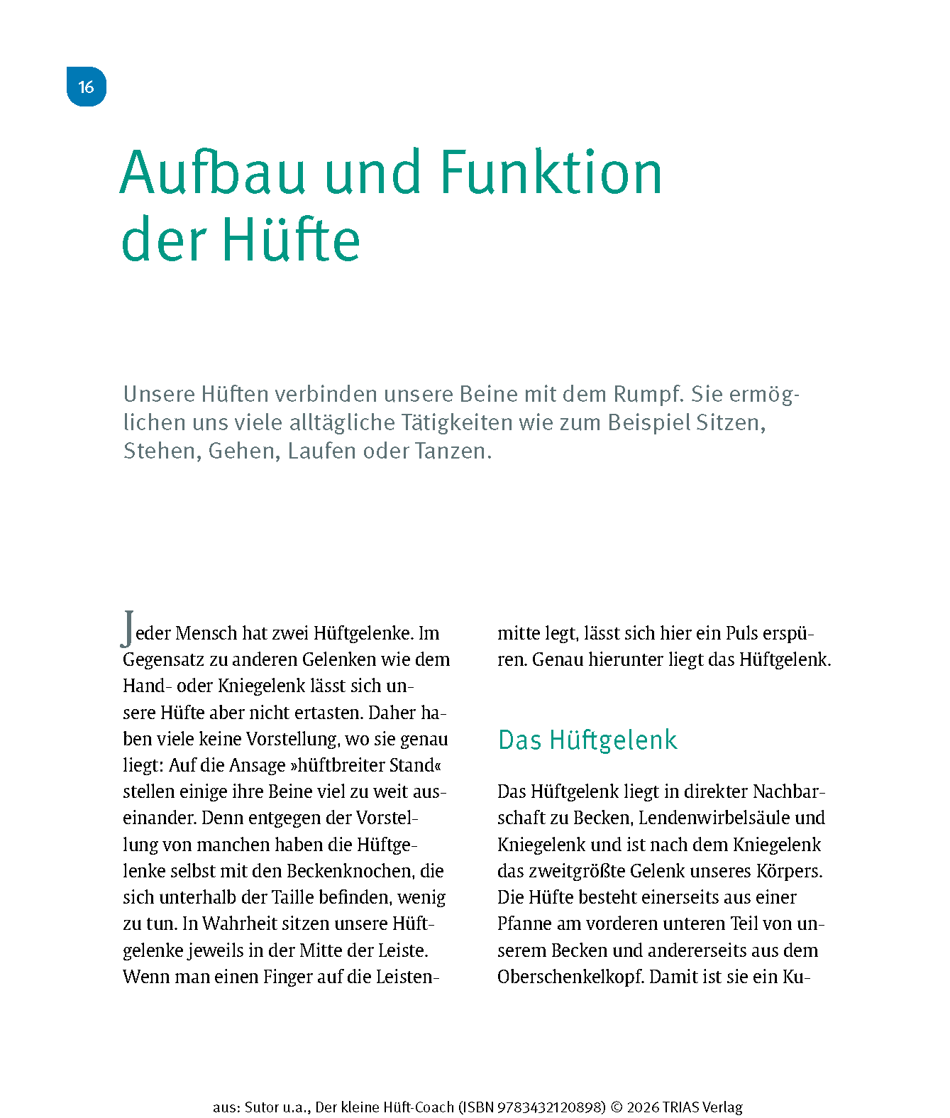 Der kleine Hüft-Coach