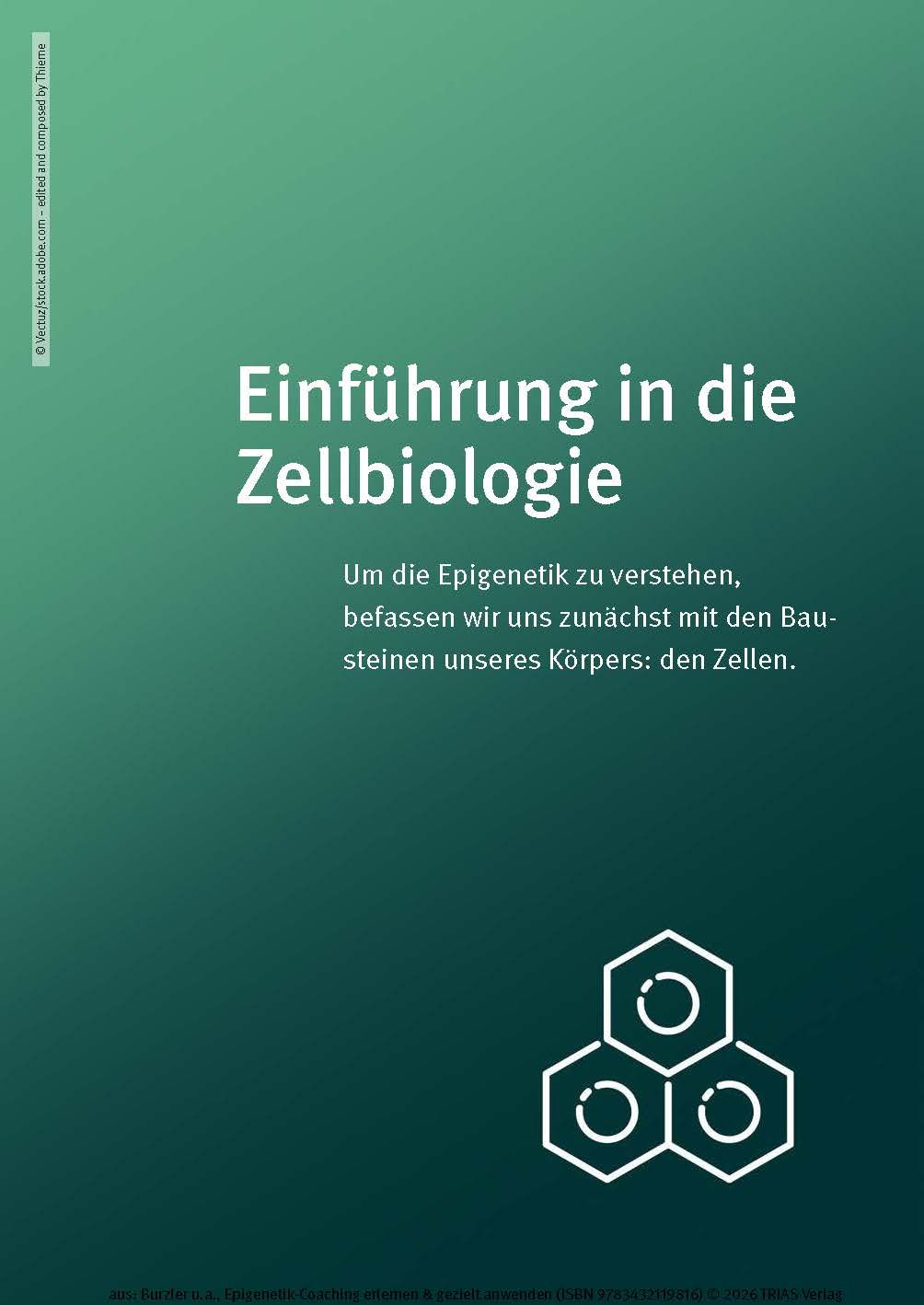 Epigenetik-Coaching erlernen & gezielt anwenden