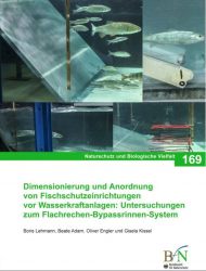 Dimensionierung und Anordnung von Fischschutzeinrichtungen vor Wasserkraftanlagen