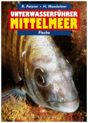 Unterwasserführer Mittelmeer Fische