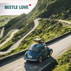 Beetle Love