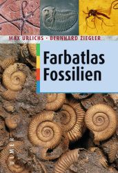 Fossilien