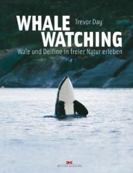 Whale Watching