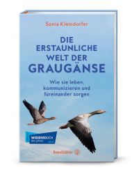 Die erstaunliche Welt der Graugänse