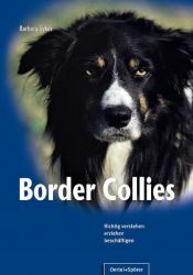 Border-Collies