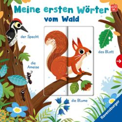 Meine ersten Wörter vom Wald - Sprechen lernen mit großen Schiebern und Sachwissen für Kinder ab 12 Monaten