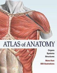 Atlas of Anatomy (Ullmann)