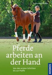 Pferde arbeiten an der Hand