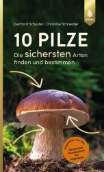 10 Pilze