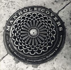 Manhole Covers (The MIT Press)