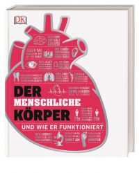 #dkinfografik. Der menschliche Körper