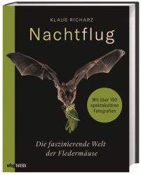 Nachtflug