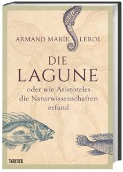 Die Lagune