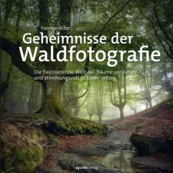 Geheimnisse der Waldfotografie